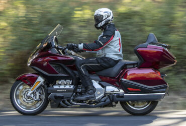 Olympia Riding Pants