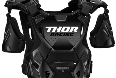 Thor Youth Guardian Roost Protector